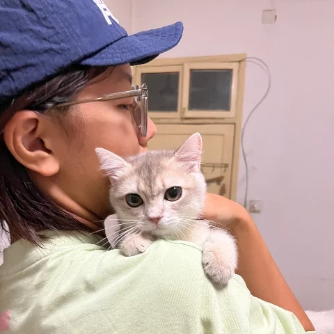 东海有条大黄鱼